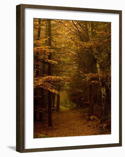 Going My Way V-Doug Chinnery-Framed Photographic Print