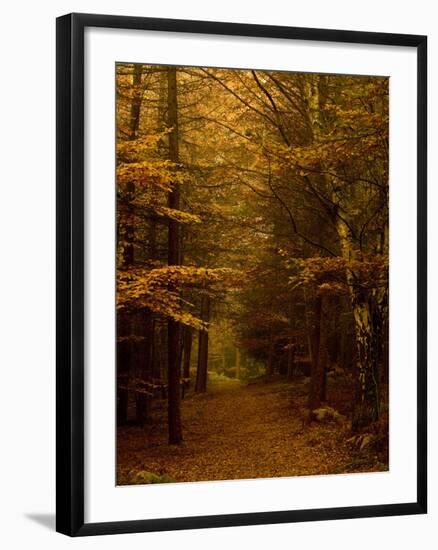 Going My Way V-Doug Chinnery-Framed Photographic Print