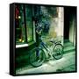 Going Nowhere-Craig Roberts-Framed Stretched Canvas