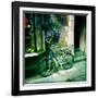 Going Nowhere-Craig Roberts-Framed Photographic Print