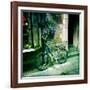 Going Nowhere-Craig Roberts-Framed Photographic Print