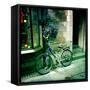 Going Nowhere-Craig Roberts-Framed Stretched Canvas