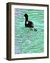 Going Places-Dorothy Berry-Lound-Framed Giclee Print