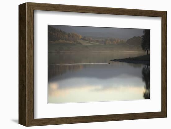 Going Solo-Valda Bailey-Framed Photographic Print