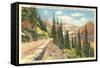 Going-to-the-Sun Highway, Glacier Park, Montana-null-Framed Stretched Canvas