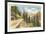 Going-to-the-Sun Highway, Glacier Park, Montana-null-Framed Art Print