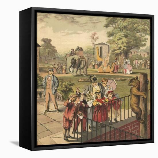 Going to the Zoo-English School-Framed Stretched Canvas