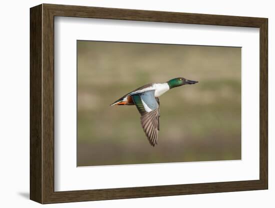 Going Up-Greg Barsh-Framed Photographic Print