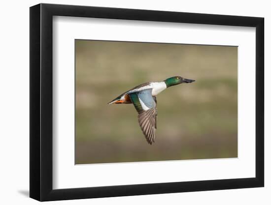 Going Up-Greg Barsh-Framed Photographic Print