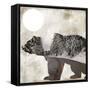 Going Wild III-Color Bakery-Framed Stretched Canvas