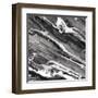 Going with the Flow III BW-Albena Hristova-Framed Art Print