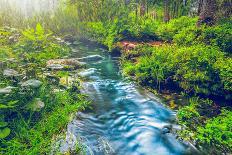 Mountain Stream in Green Forest. Carpathians, Ukraine-goinyk-Photographic Print