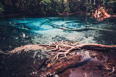 Traditional Wooden Boat in a Tropical Bay on Koh Phi Phi Island, Thailand, Asia.-goinyk-Photographic Print