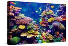 Stretched Canvas