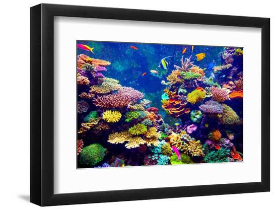 Premium Photographic Print, , large