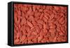 Goji Berries Dried-null-Framed Stretched Canvas