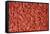 Goji Berries Dried-null-Framed Stretched Canvas