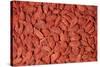 Goji Berries Dried-null-Stretched Canvas