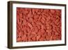Goji Berries Dried-null-Framed Photographic Print