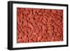 Goji Berries Dried-null-Framed Photographic Print