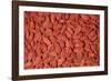 Goji Berries Dried-null-Framed Photographic Print