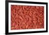 Goji Berries Dried-null-Framed Photographic Print