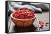 Goji Berries-tashka2000-Framed Stretched Canvas