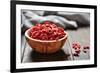 Goji Berries-tashka2000-Framed Photographic Print