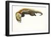 Gold, 2014-Mark Adlington-Framed Giclee Print