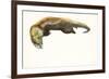 Gold, 2014-Mark Adlington-Framed Giclee Print