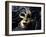 Gold A Carnival Mask With Black Feathers-voronin76-Framed Art Print