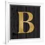 Gold Alphabet B-N. Harbick-Framed Art Print