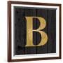 Gold Alphabet B-N. Harbick-Framed Art Print