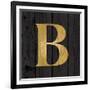 Gold Alphabet B-N. Harbick-Framed Art Print