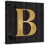 Gold Alphabet B-N. Harbick-Stretched Canvas