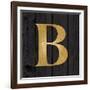 Gold Alphabet B-N. Harbick-Framed Art Print