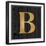 Gold Alphabet B-N. Harbick-Framed Art Print