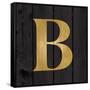 Gold Alphabet B-N. Harbick-Framed Stretched Canvas