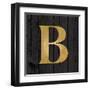 Gold Alphabet B-N. Harbick-Framed Art Print