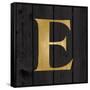 Gold Alphabet E-N. Harbick-Framed Stretched Canvas
