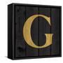 Gold Alphabet G-N. Harbick-Framed Stretched Canvas
