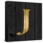 Gold Alphabet J-N. Harbick-Framed Stretched Canvas