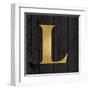 Gold Alphabet L-N. Harbick-Framed Art Print