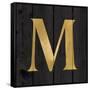 Gold Alphabet M-N. Harbick-Framed Stretched Canvas