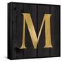 Gold Alphabet M-N. Harbick-Framed Stretched Canvas