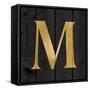 Gold Alphabet M-N. Harbick-Framed Stretched Canvas