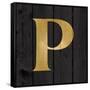 Gold Alphabet P-N. Harbick-Framed Stretched Canvas