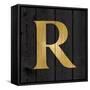 Gold Alphabet R-N. Harbick-Framed Stretched Canvas