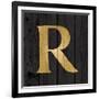 Gold Alphabet R-N. Harbick-Framed Art Print