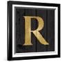 Gold Alphabet R-N. Harbick-Framed Art Print